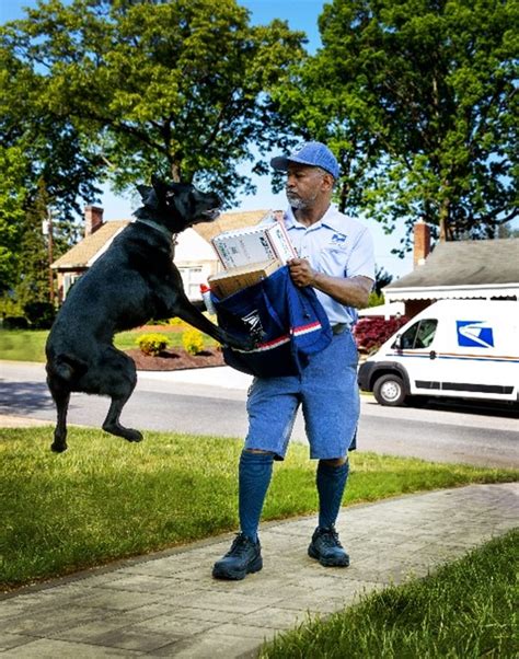 USPS releases its annual dog bite rankings — where California ranks